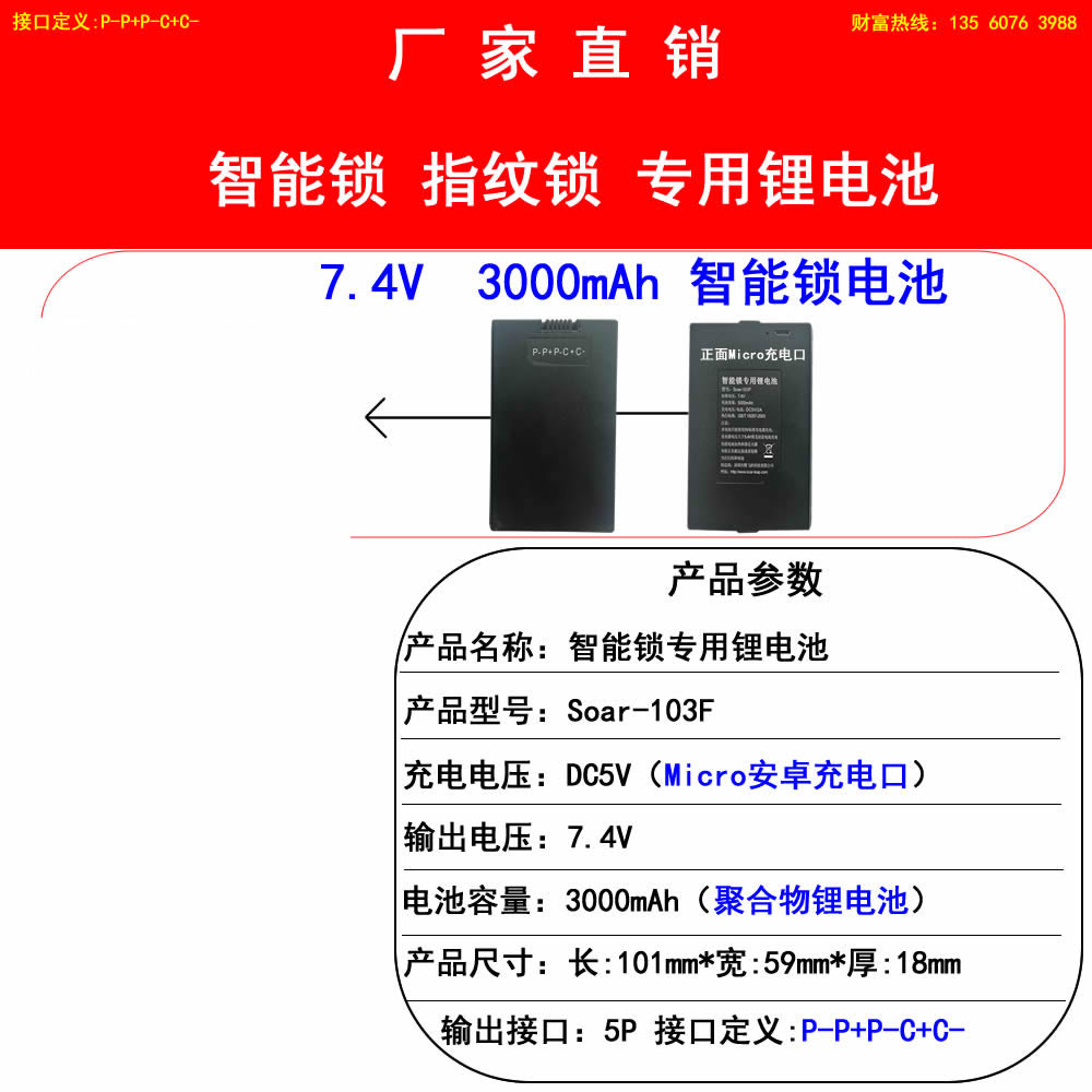 3000mAh-103F(P-P+P-C+C-)